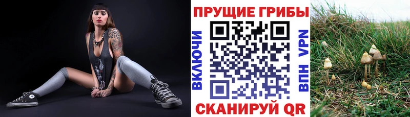 Галлюциногенные грибы MAGIC MUSHROOMS  где купить   Вихоревка 